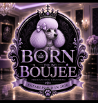 Born To Be Boujee